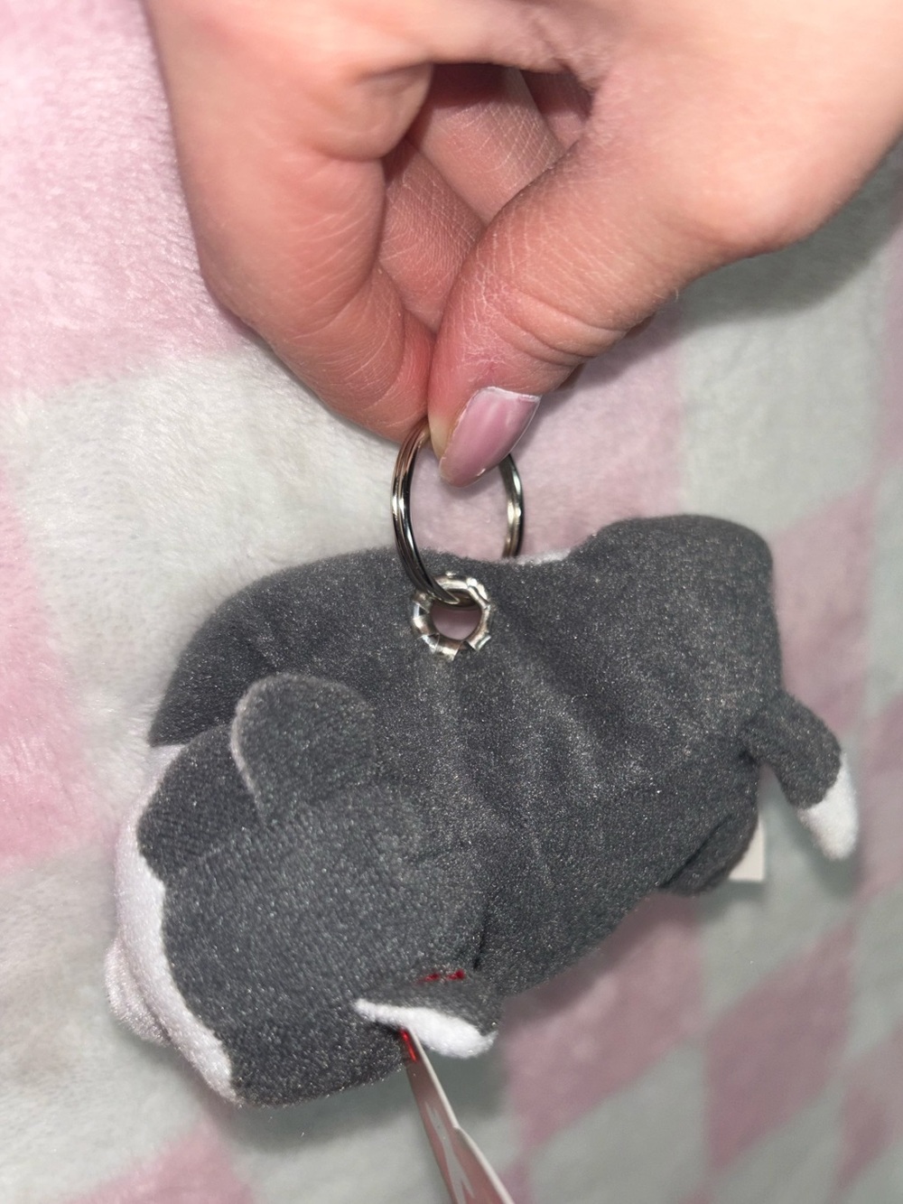 Ty Beanie Baby Puppy Dog Keychain Plush Gray White Blue Eyes husky dog lover